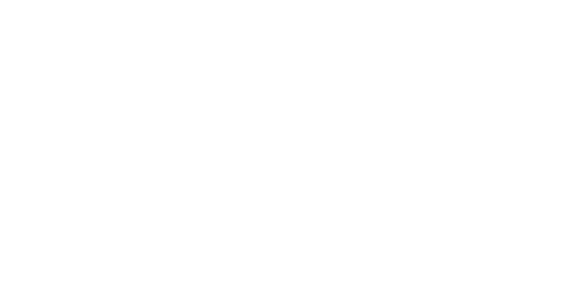 pic4